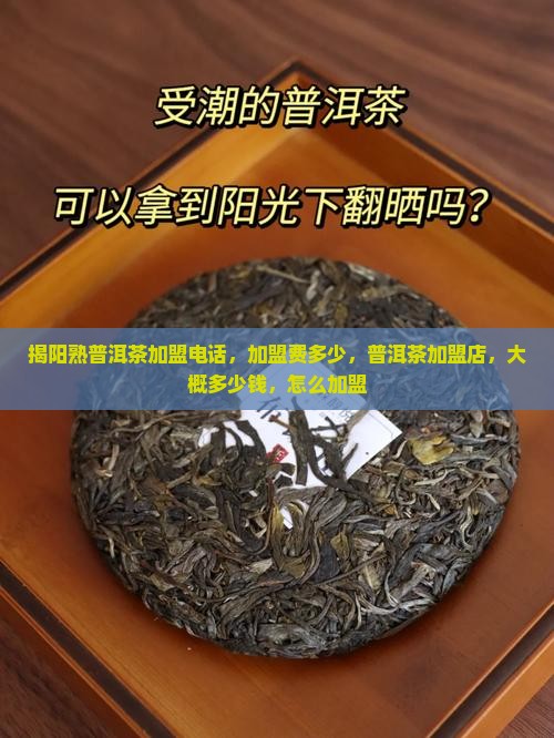 揭阳熟普洱茶加盟