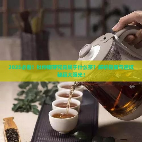 杜仲嫩芽属于什么茶