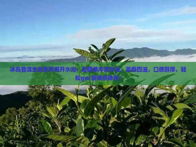 冰岛普洱生茶怎样用开水泡