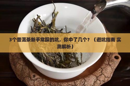 邹记普洱茶测评