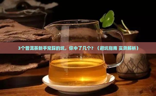 邹记普洱茶测评