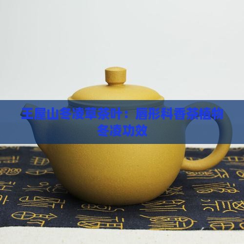 王屋山冬凌草茶叶怎么样