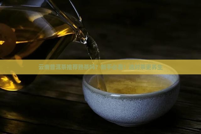 云南普洱茶推荐熟茶吗