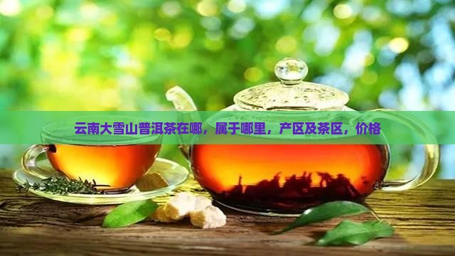 云南大雪山普洱茶在哪