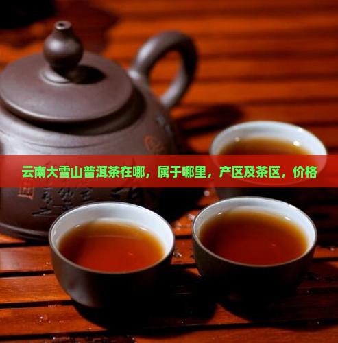 云南大雪山普洱茶在哪
