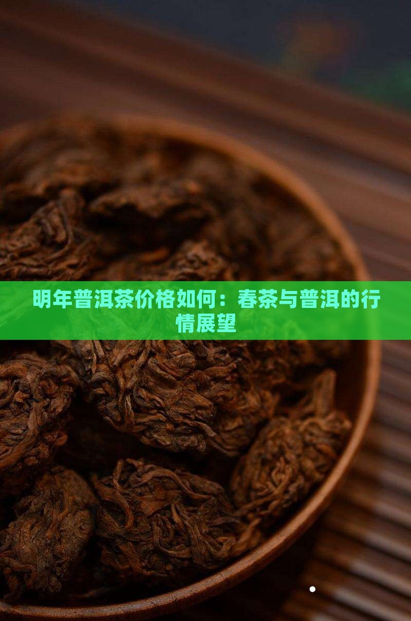 明年普洱茶价格如何
