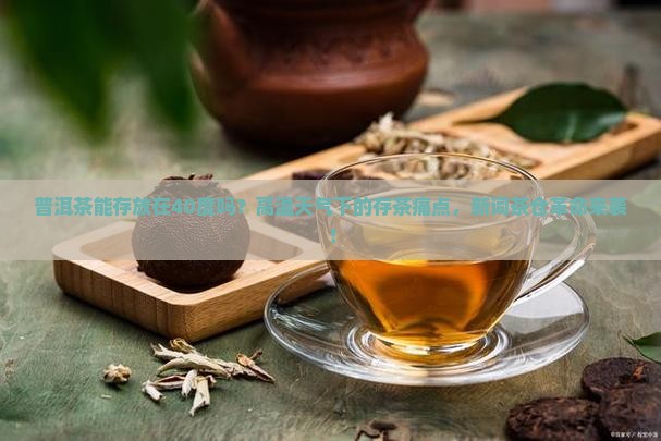普洱茶能存放在40度