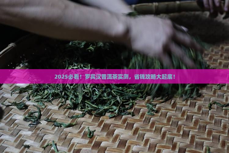 日本罗宾汉普洱茶