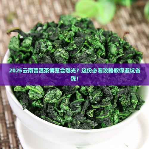 2020云南普洱茶博览会