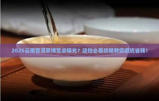 2020云南普洱茶博览会
