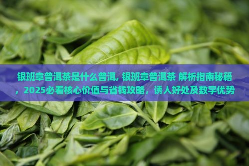 银班章普洱茶是什么普洱