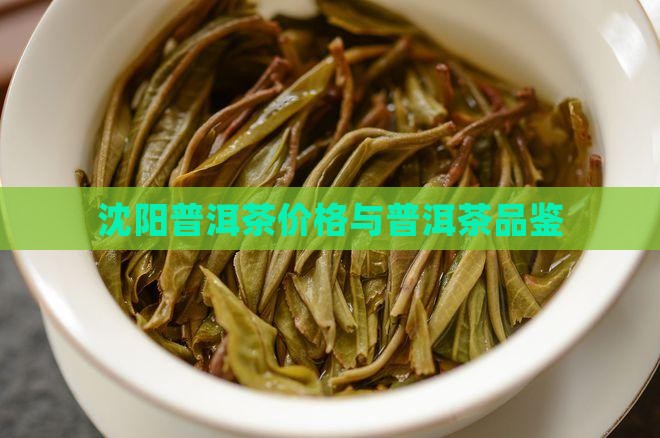 沈阳市熟普洱茶