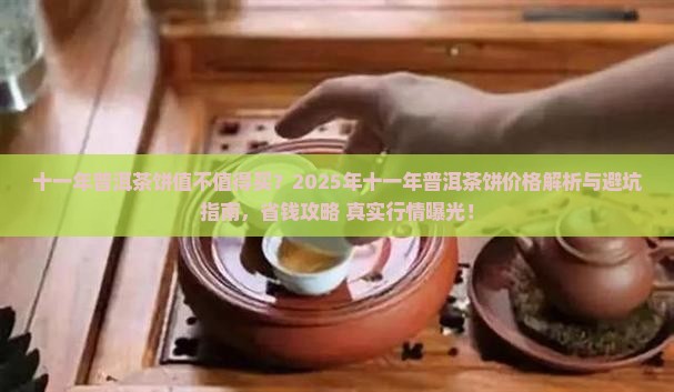 十一年普洱茶饼多少钱