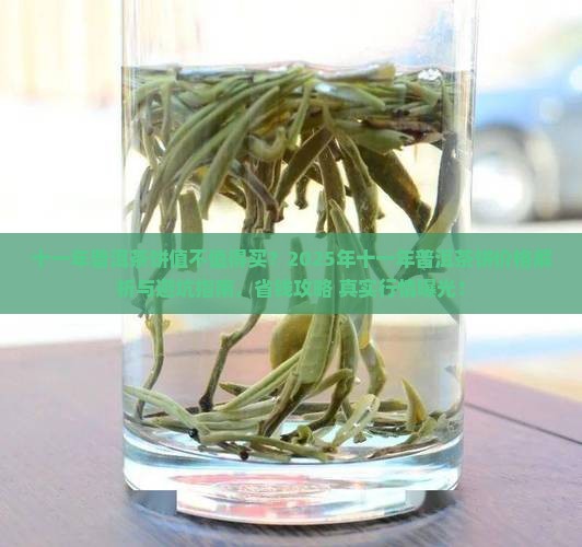 十一年普洱茶饼多少钱