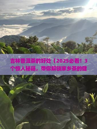 吉林普洱茶的好处