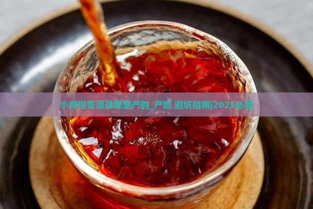 小青柑普洱茶哪里产的