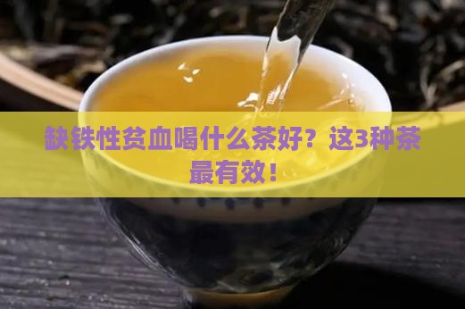 缺铁性贫血喝什么茶好