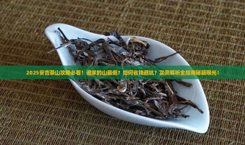 来安吉看茶山谁家的山最低