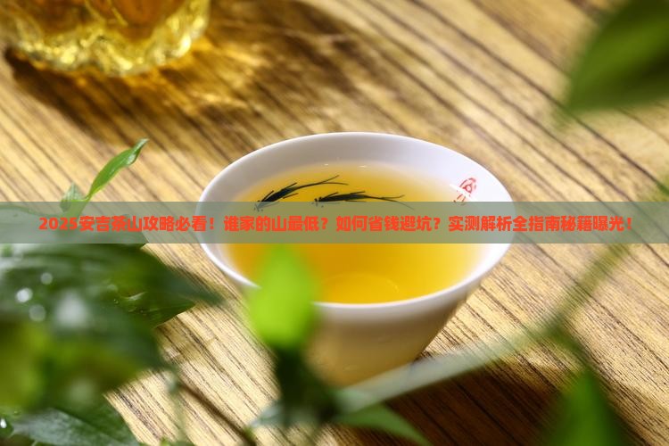 来安吉看茶山谁家的山最低