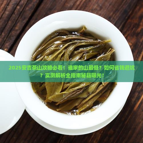 来安吉看茶山谁家的山最低