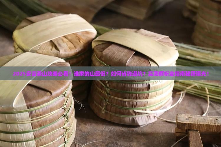 来安吉看茶山谁家的山最低