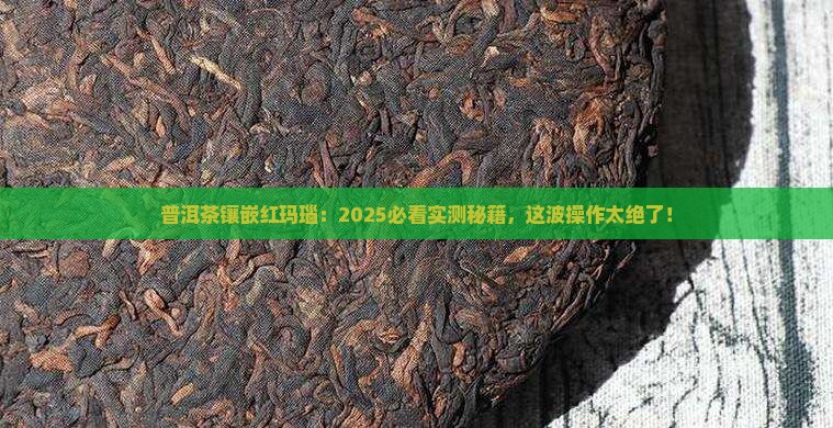普洱茶镶嵌红玛瑙 普洱茶镶嵌红玛瑙