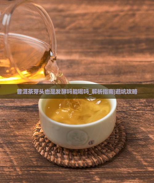 普洱茶芽头也是发酵吗能喝吗