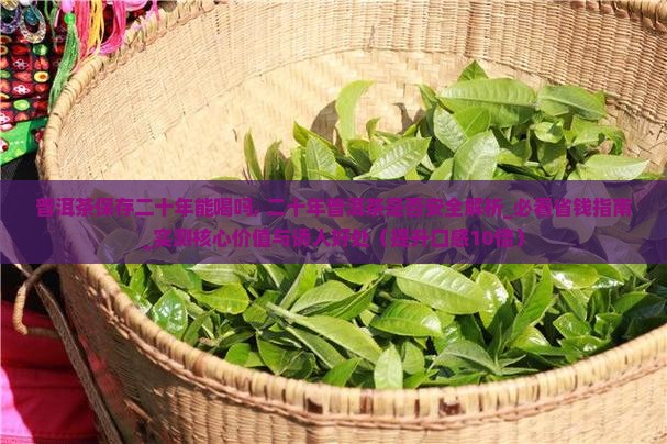 普洱茶保存二十年能喝吗