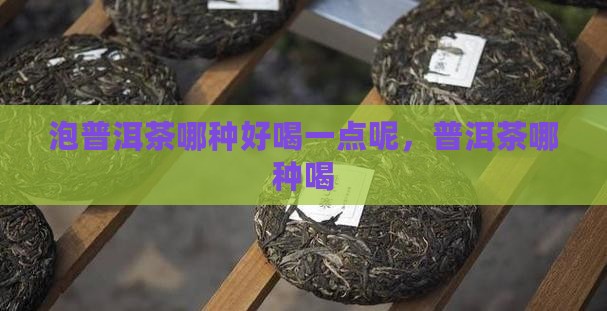 泡普洱茶哪种好喝一点