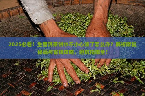 生普洱茶饼水不小心