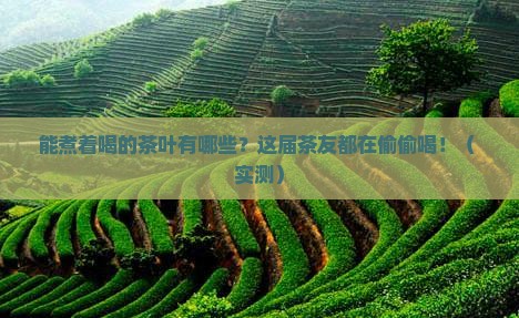 能煮着喝的茶叶有哪些
