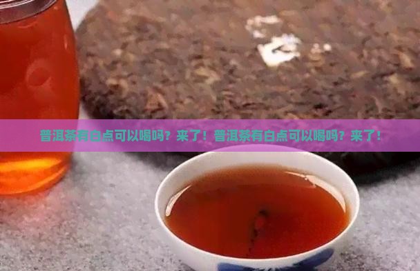 普洱茶有白点可以喝吗