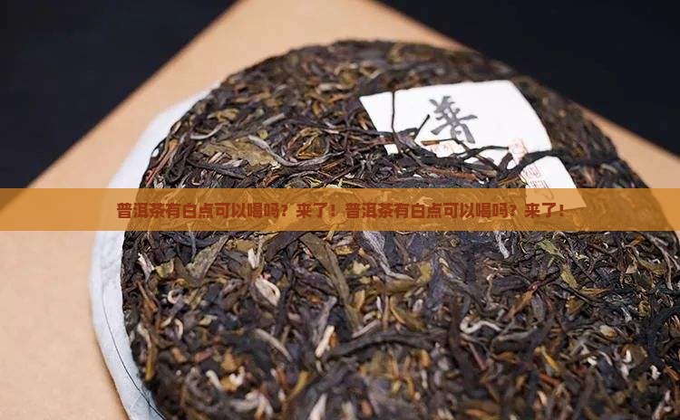 普洱茶有白点可以喝吗