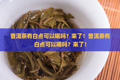 普洱茶有白点可以喝吗