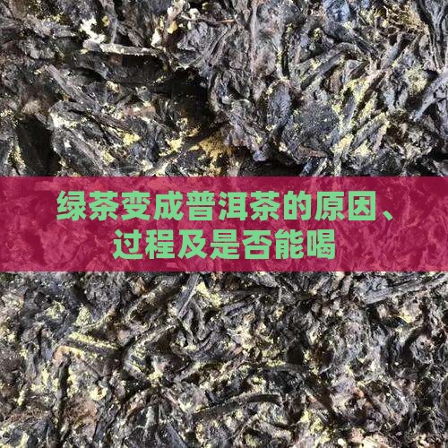 绿茶变成普洱茶