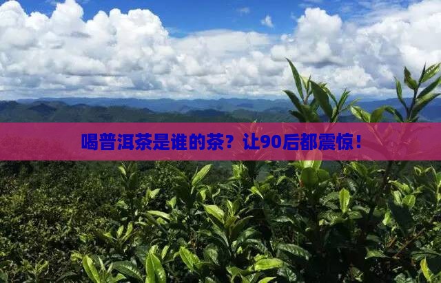 喝普洱茶是谁的茶名称
