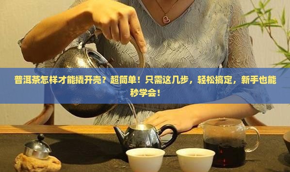 普洱茶怎样才能撬开壳