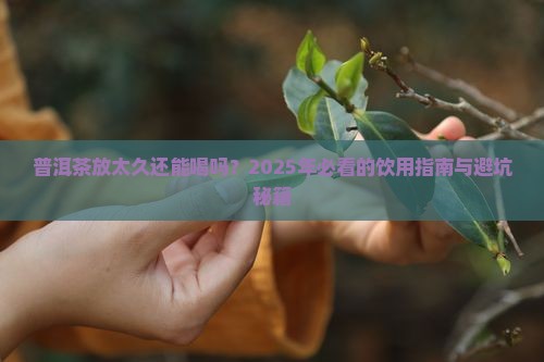 普洱茶时间太长了能喝吗