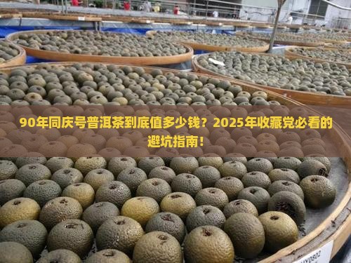 90年同庆号普洱茶价格