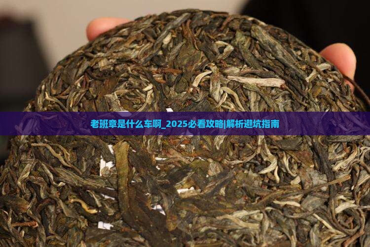 老班章是什么车啊