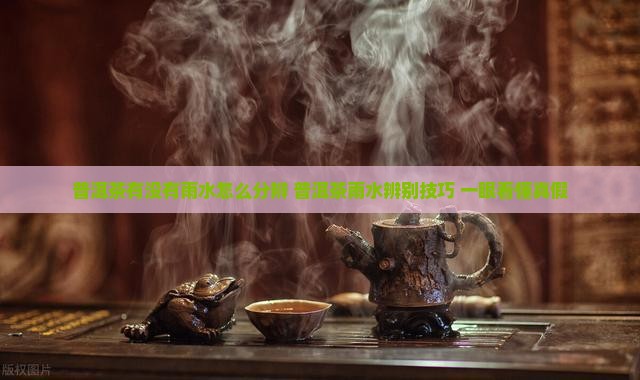 普洱茶有没有雨水怎么分辨