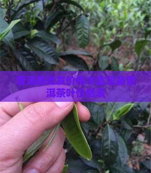 高端普洱茶木盒子价格表
