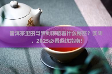 普洱茶中马蹄是什么意思