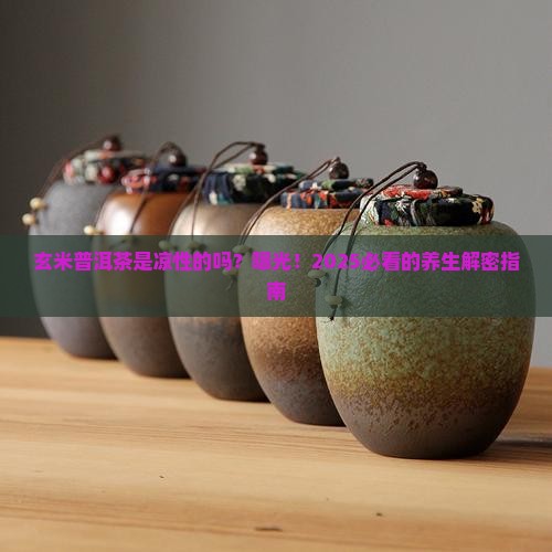 玄米普洱茶是凉性的吗