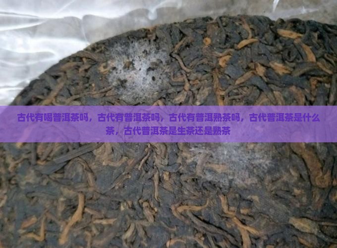 古代有喝普洱茶吗