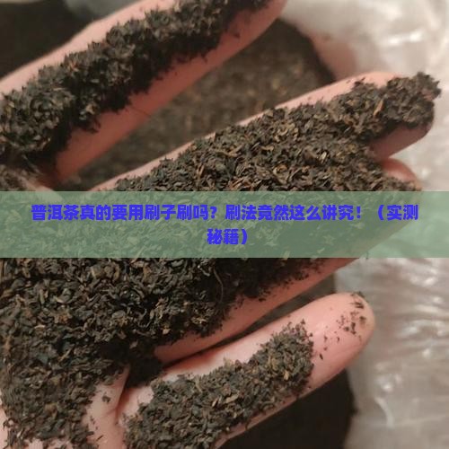 普洱茶用刷子刷吗怎么刷