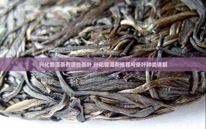兴化普洱茶品牌有哪些茶叶