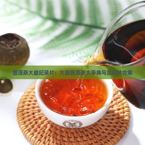 普洱茶大益纪录片