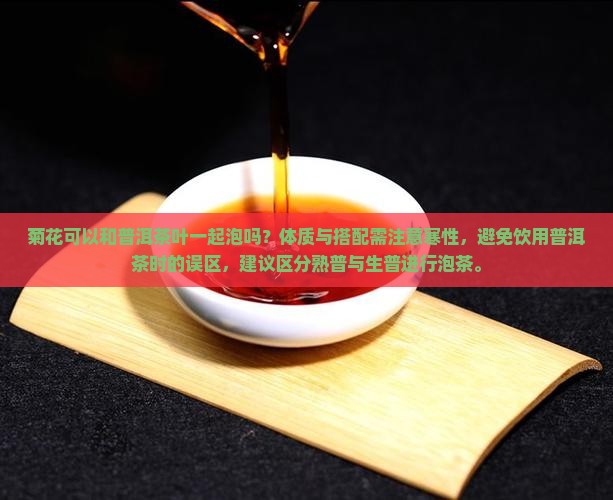 菊花可以和普洱茶叶一起泡吗
