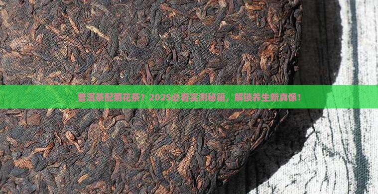 普洱茶可与菊花茶同泡